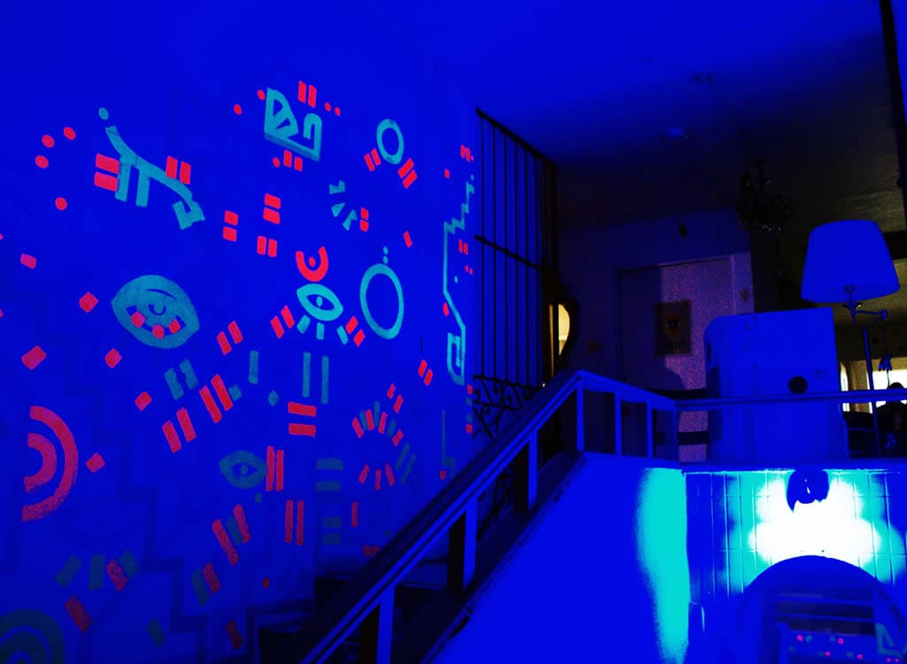 Free Spirit Experience